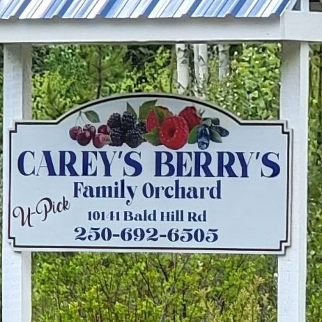 Carey's Berry's